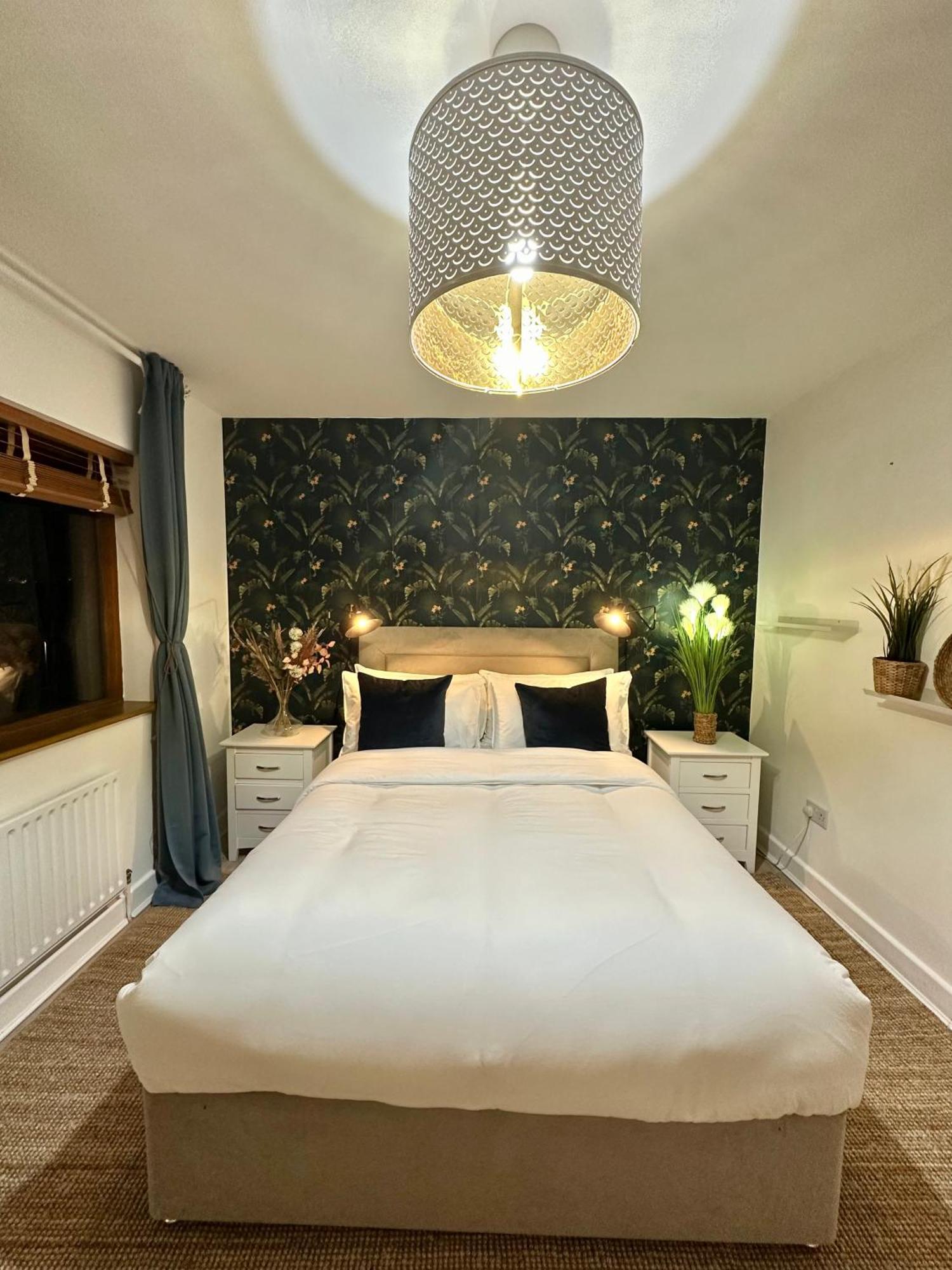 Homestay Blush Jungle - Dublin