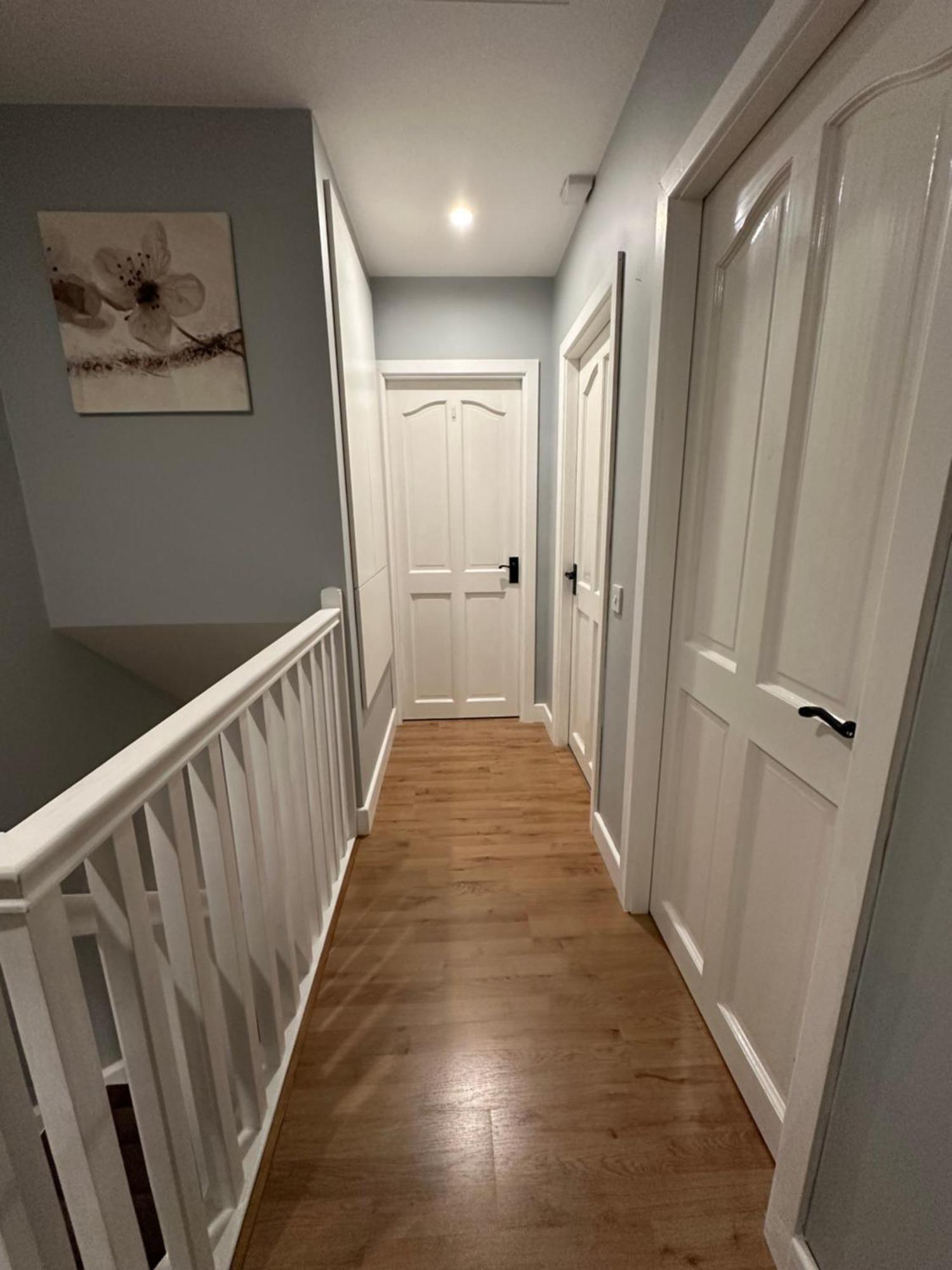 Homestay Blush Jungle - Dublin